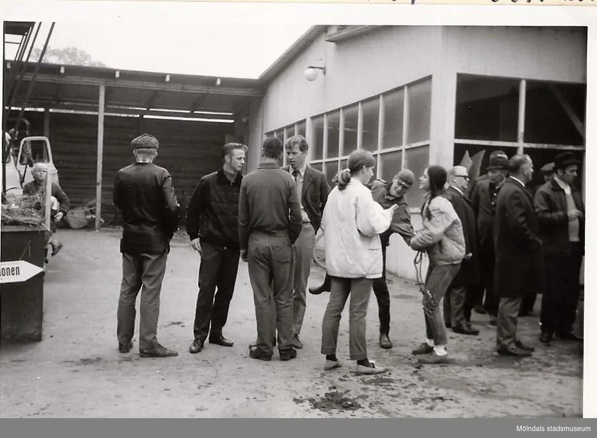 Bosse Thomasson, "Konsum", Ronny "Barret" Karlsson, en av bröderna Kärrstrand, Carin Hjalmarsson, Börje "Sprinten" och Liane Wendt  på Åbys auktion 1968. 

Blandade bilder inslamlade i samband med dokumentation av Åby Stallbacke och Stallgårdarna 2015.