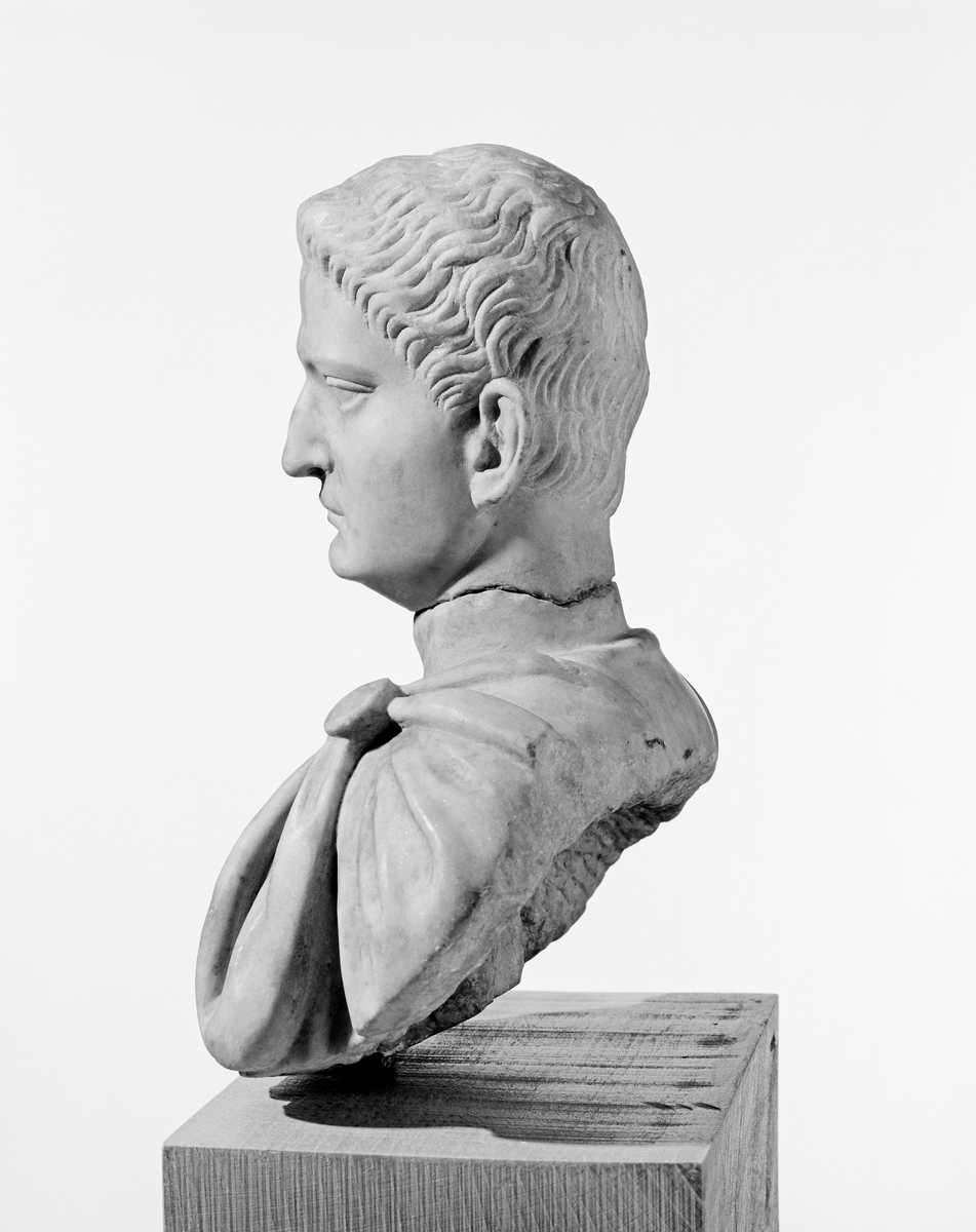 Moderne portrettbyste av Domitian [Byste]