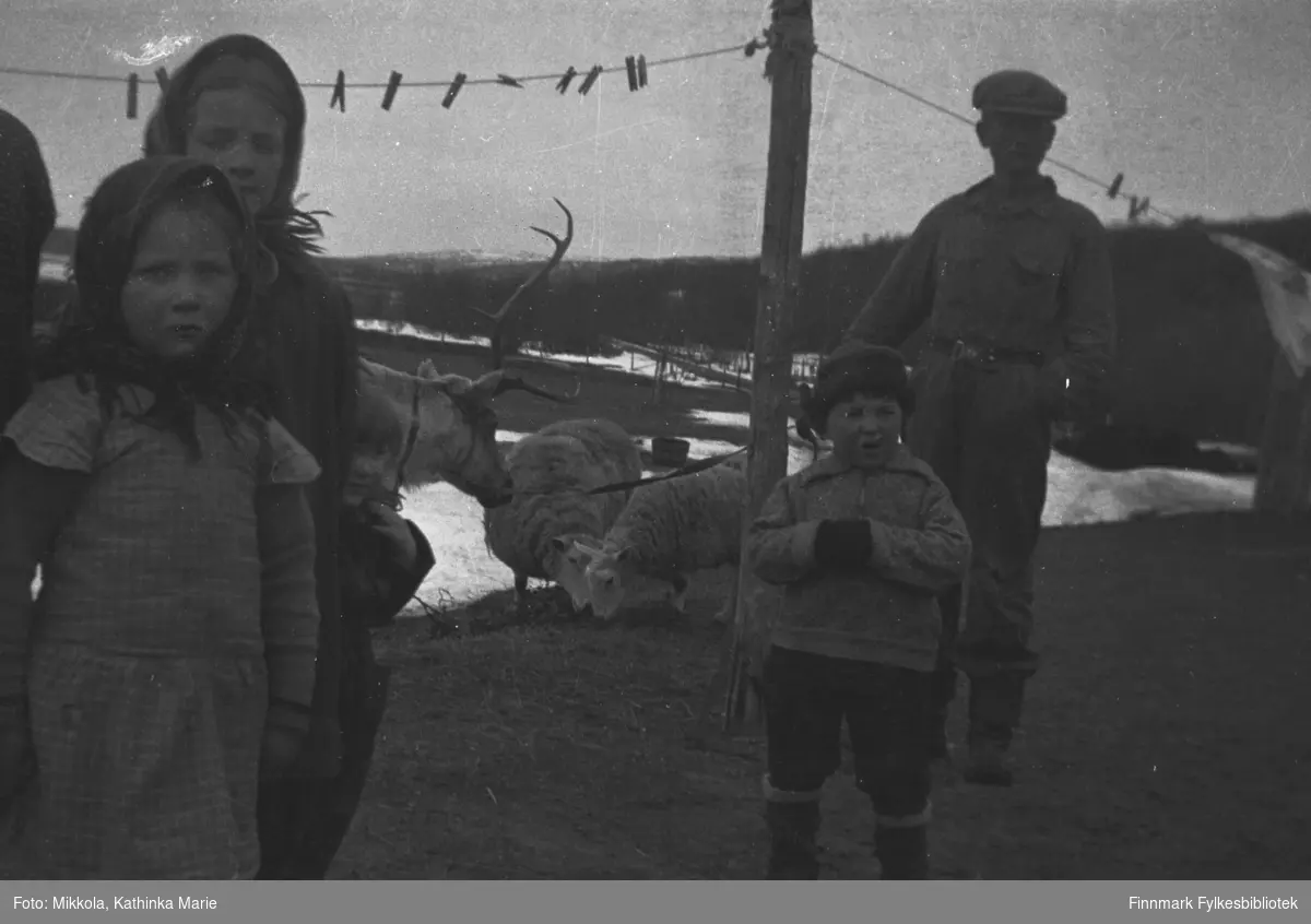 Barn og ungdommer ute på Mikkelsnes, ca. 1937-1938. Fra venstre Herlaug og Astrid Mikkola, Trygve Dørmænen (foran) og Andreas Mikkola. Andreas har arbeidskjeledress på. I bakgrunnen klesvask på snora, et par sauer og en kjørerein