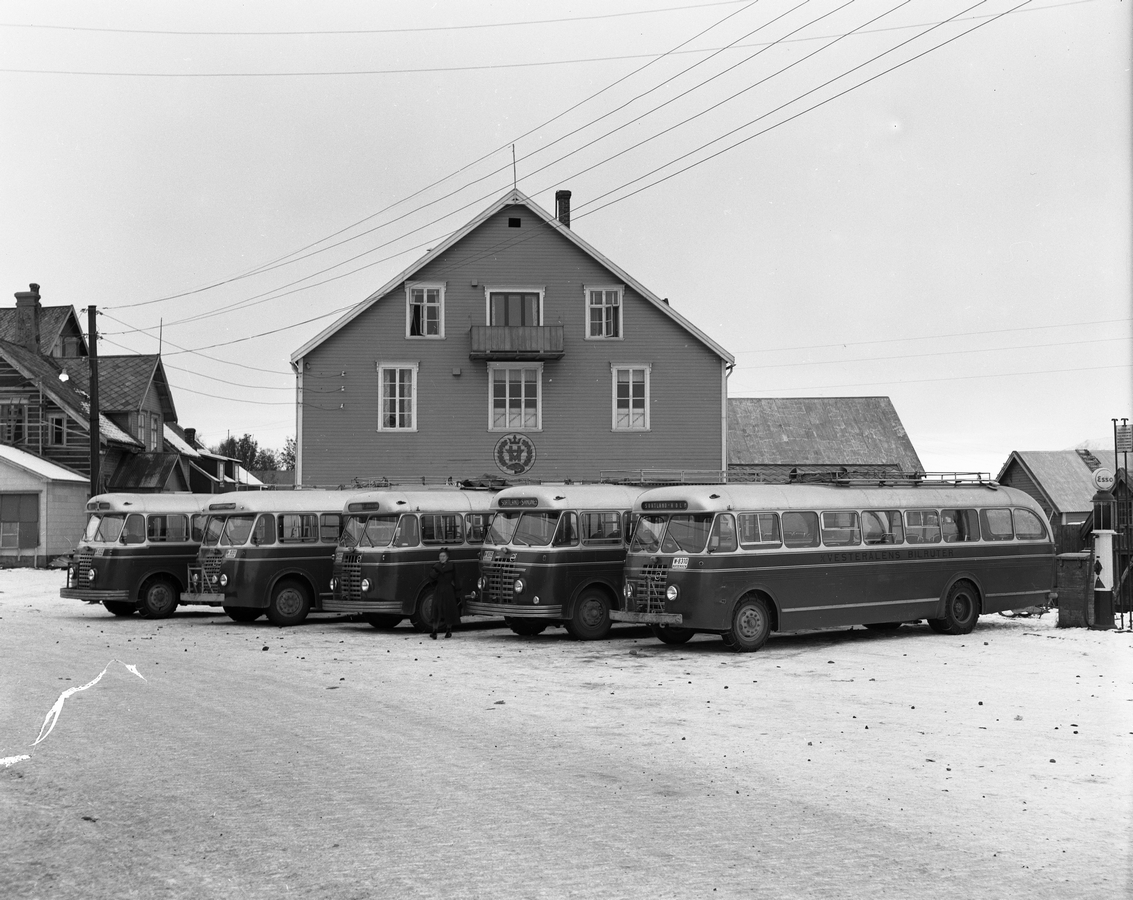 Busser fra Vesterålens Bilruter (senere Vesterålens Trafikklag og Nordtrafikk) på bussholdeplassen på torget utenfor Vesteraalens Hermetikkfrabrikk på Sortland, 1954