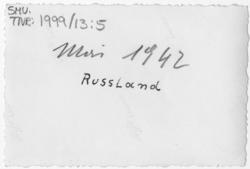 Tyske soldater på ski over et fjell