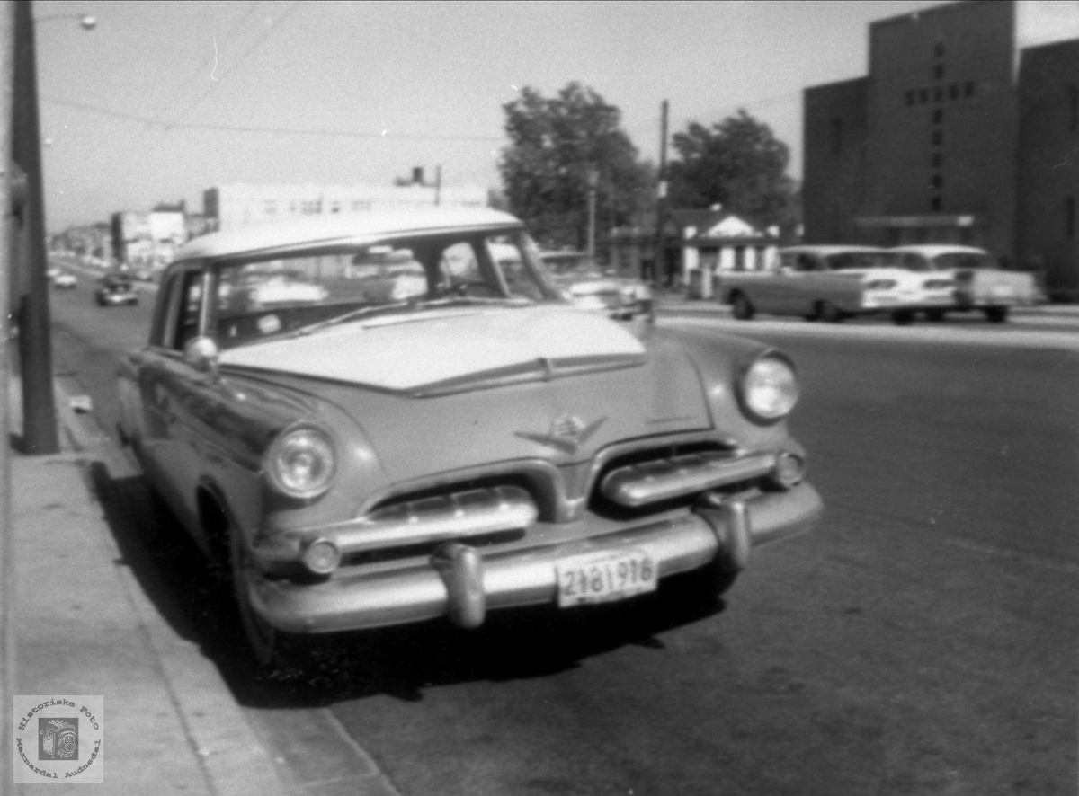 Dollarglis.
Dodge 1955.