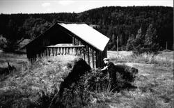 "Uteløe",  Snøskaret.