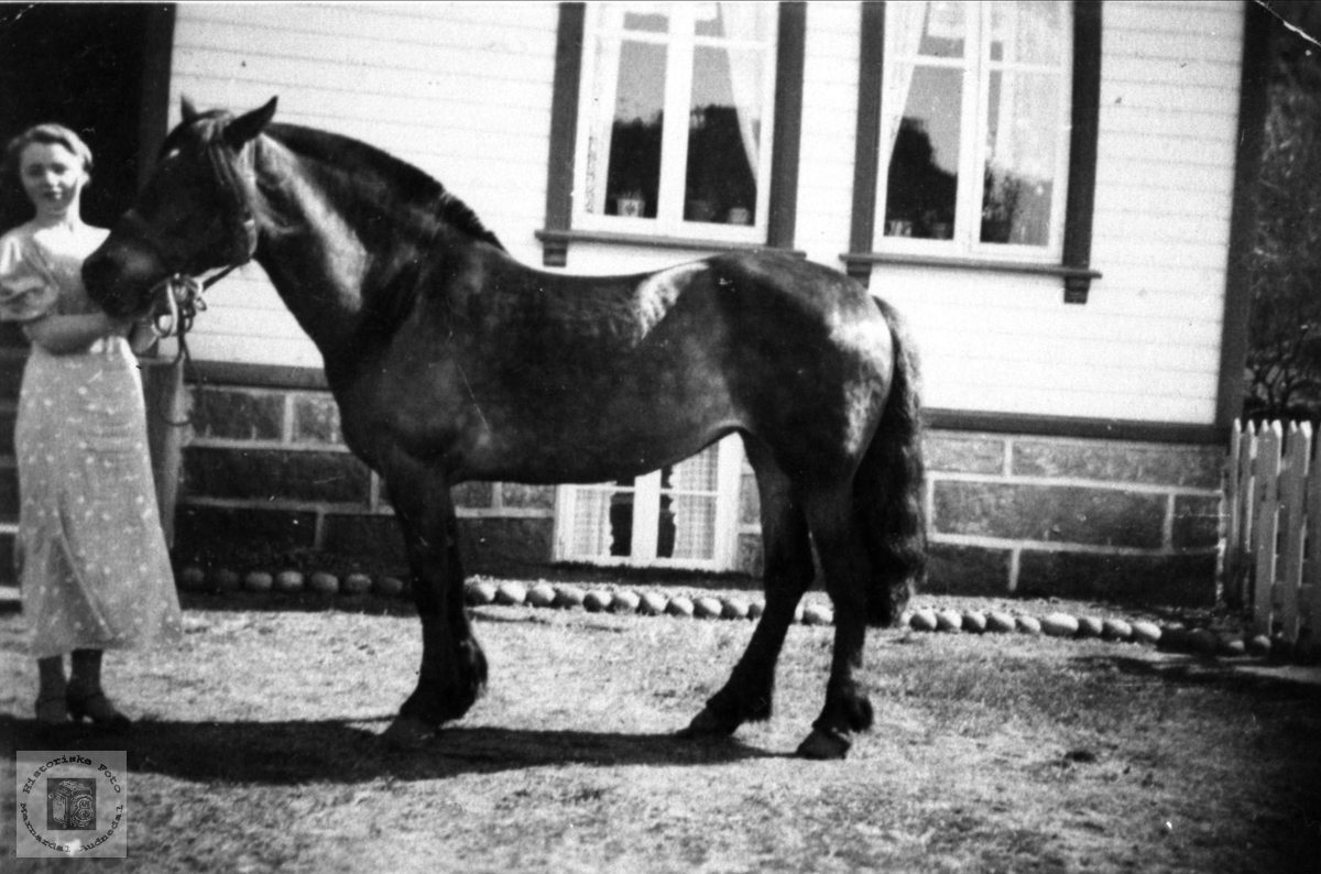 Dame med hest. Astrid O. Abelset, f. Lauvdal.