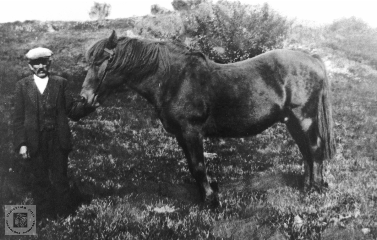 Gabriel Hønneland med hesten.