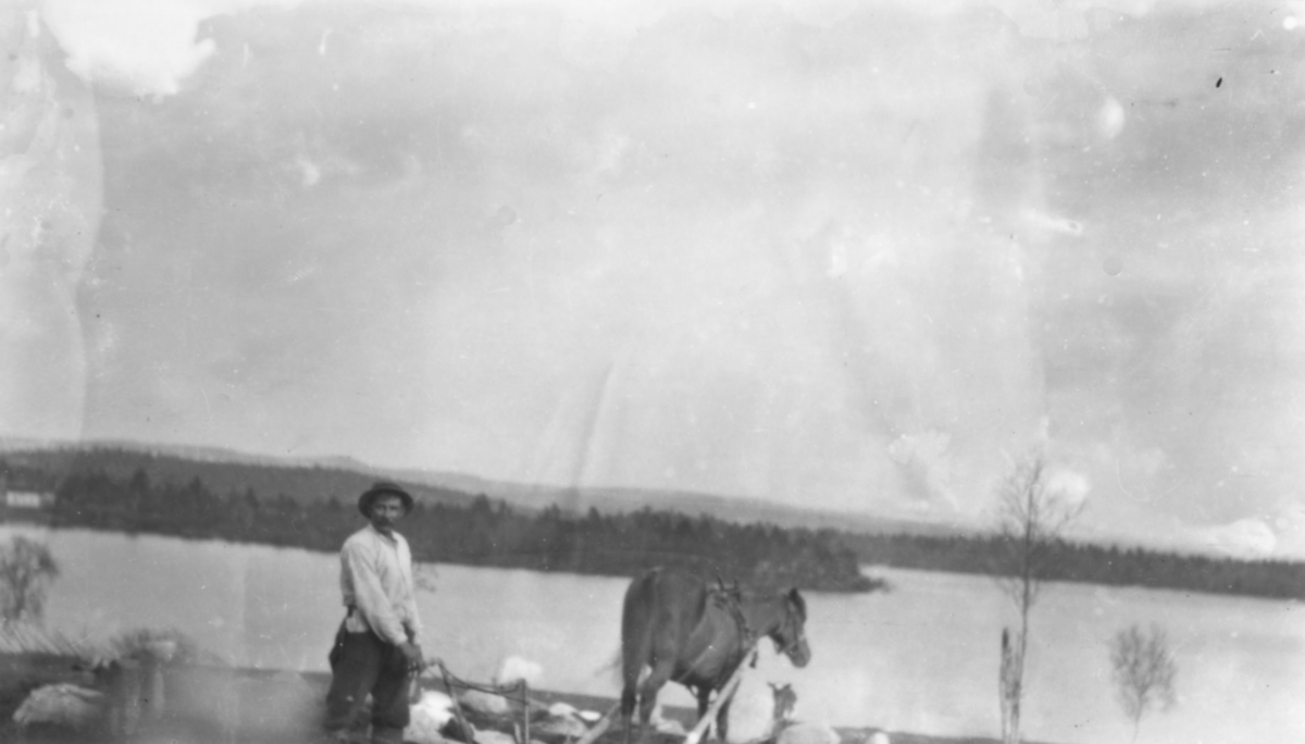 På bildet ser vi en mann som pløyer jorda med hest. Det er finsk jordbruk i Petsjenga / Petsamo. 
Petsjenga er en elv i Murmansk oblast i Russland. Den har sine kilder øst for Pasvikdalen og sør for Nikel. Den løper ut i Petsjengafjorden ved byen Petsjenga.