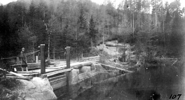 Damanlegg i Rotnavassdraget på Grue Finnskog i Hedmark.  Motivet er fra en dam som ser ut til å ha hatt tre løp mellom kar som ser ut til å ha vært støpte eller i hvert fall betongforblendete.  Hovedløpet (til venstre) ser ut til å være stengt ved hjelp av horisontale bjelker som er heist ned i slisser i de nevnte betongkarene.  Denne damtypen kalles "bjelkedam", "plankedam" eller "settdam", og den ser ut til å ha hatt sitt hovedutbredelsesområde langs svenskegrensa, lengst øst i Hedmark.  Da dette fotografiet ble tatt sto det ei kvinne på dambrua.  Antrekket hennes kan tyde på at opptaket er fra mellomkrigstida, og arkivinformasjon tyder på at 1926 er opptaksåret.  

Skogeierne langs dette vassdraget dannet fellesfløtingsforening  i 1913.  Fløtinga i Rotna ble holdt i gang til 1966.  Det organisatoriske apparatet ble likevel ikke offisielt avviklet før i 1981.