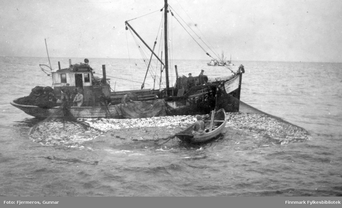 En fiskeskøyte ligger med seinota ute. En lettbåt med en person ombord ligger litt bortenfor skøytaog flere personer jobber på dekk med å hale nota. Personer og båt er ukjent, men bildet er tatt øst for Nordkapp våren 1948.