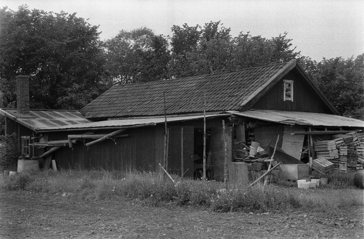 Maskinrum och bod, Skuttunge by 1:6, Skuttunge socken, Uppland 1976