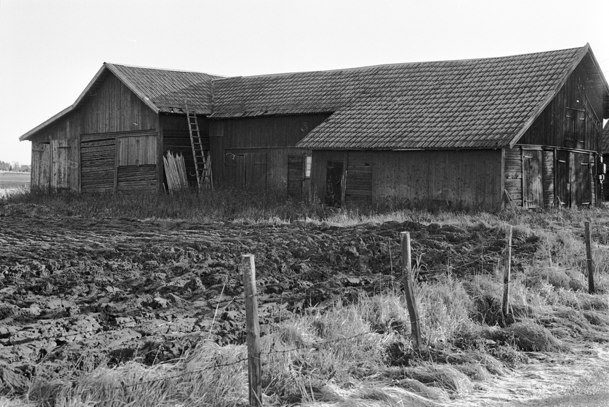 Loge och stall, Tjälinge 2:2, Skogs-Tibble socken, Uppland 1985