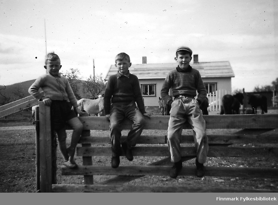 Tre gutter sitter på en gjerde en solig vårdag i Seida i 1956, huset til Persen i bakgrunnen. Barna fra venstre: Bjørn Ottar Betten, Maar og Einar Stangeland. Mellom gjerden og huset går flere hester. Bjørn Ottar er kled i knebukser og genser, de to andre i langbukser og genserer.