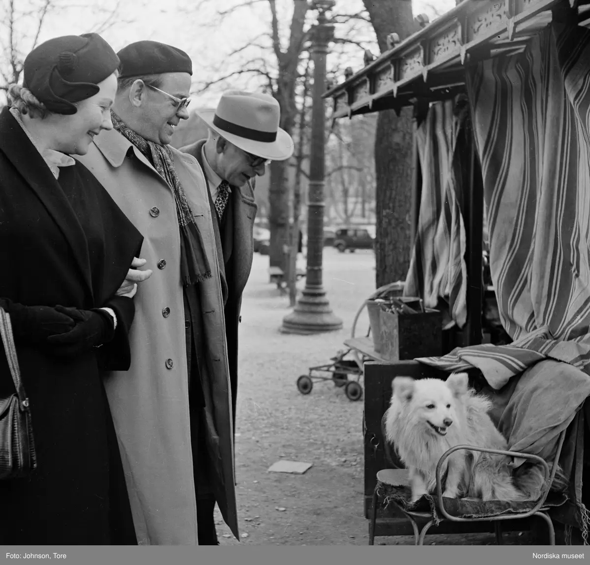 Paris. Två män och en kvinna betraktar en hund som sitter i en stol.