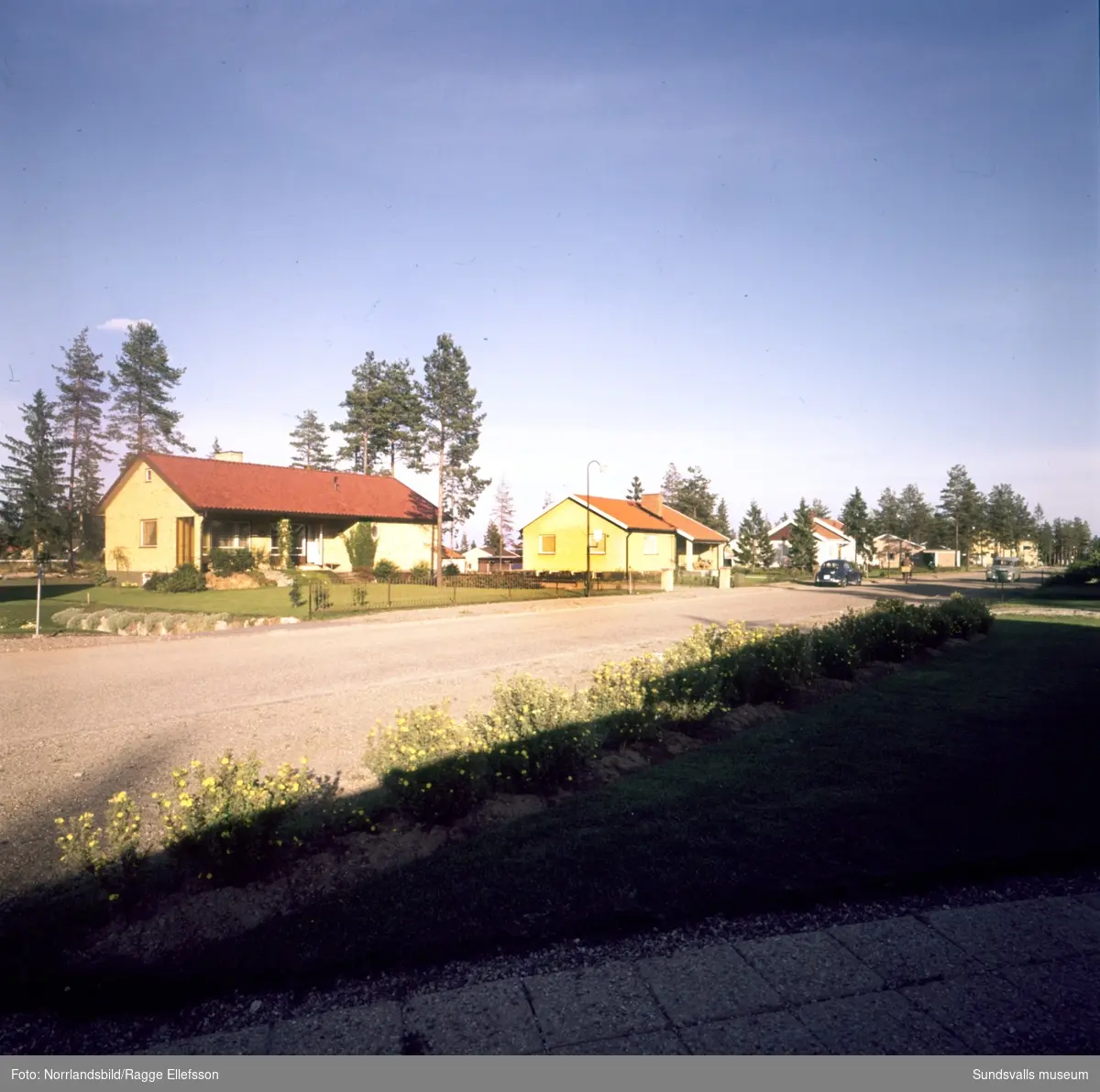 Villaområde i Haga med hus vid Fågelvägen och Ripstigen.