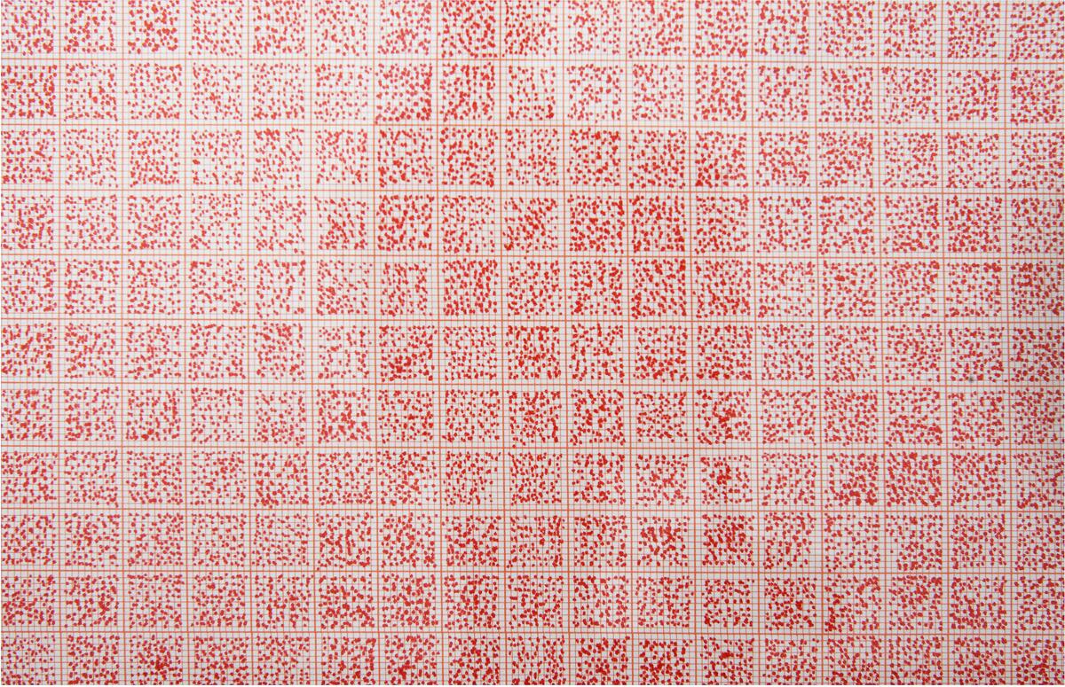 A 2  ( R e d )

Hundre vilkårlige punkt per cm2 


Penn: 	(Sakura) Pigma Micron 05, Archival ink
		Colour: Red
Papir :		A2 millimeterpapir
Størrelse:		A2 (594 x 420 mm)
År:		2013



FOTO: Ronny Danielsen (Foto/Photo)