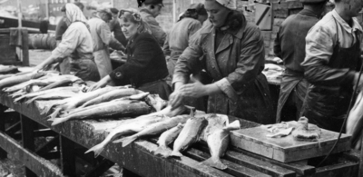 Finnmarkskvinner i fiskeriene