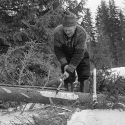 Skogsarbeider Helge Brenden fra Hernes i Elverum, fotografer