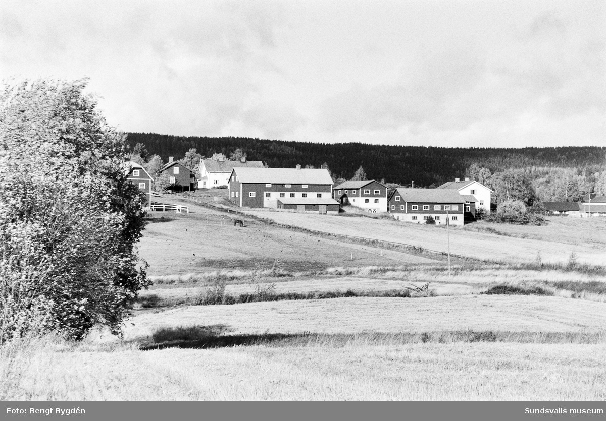 Lantgårdar i Sköle by i Matfors. Vyer tagna norrut från Rännöhållet.