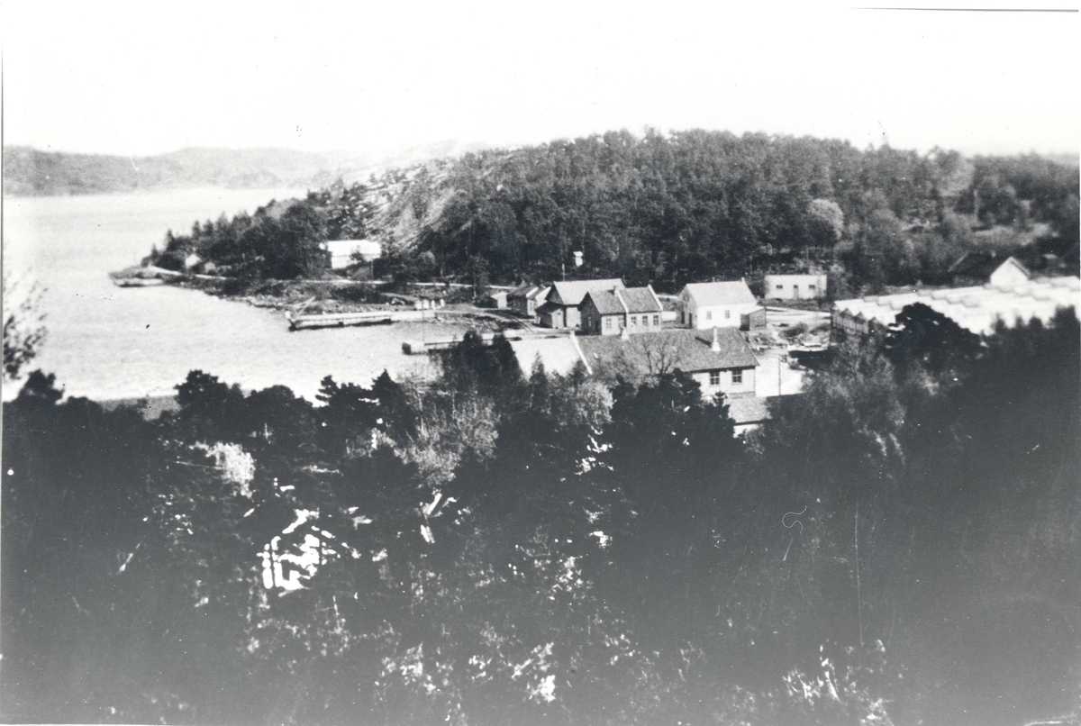 Marvika Kristiansand 1905.