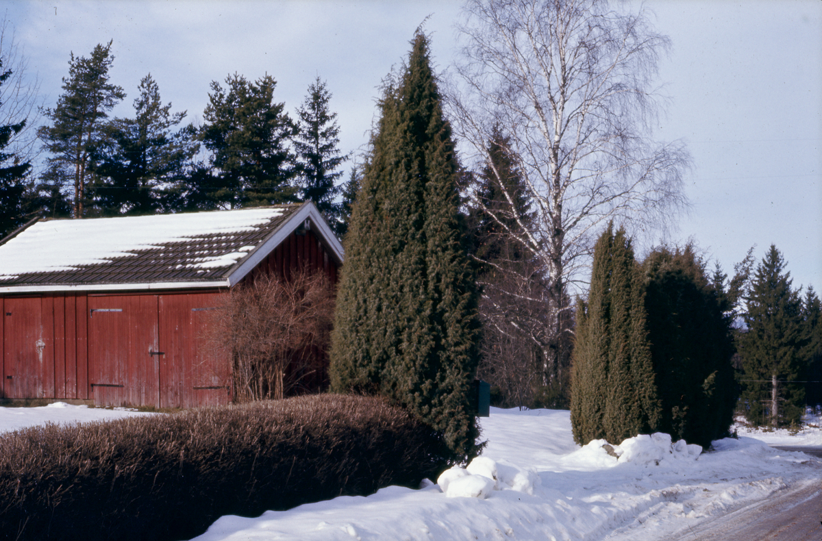 Einerhekk. Vestby, februar 1972.