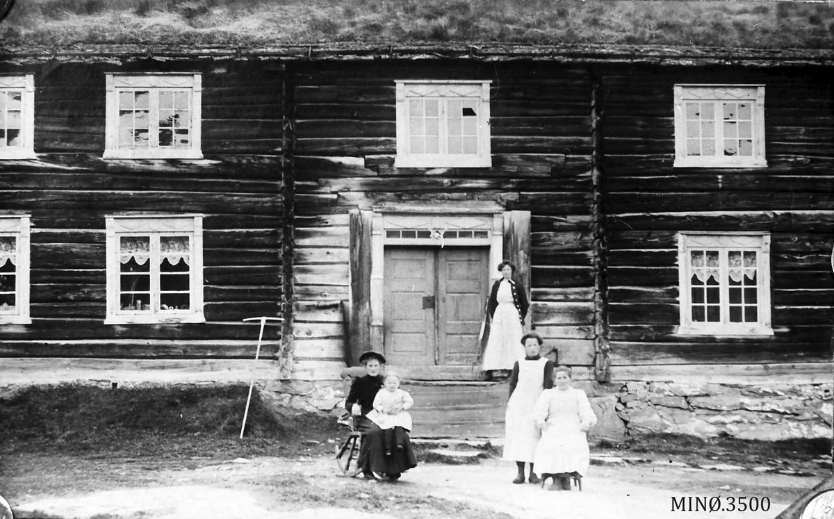 Fire kvinner, ett lite barn, foran inngangsparti digert hus. 