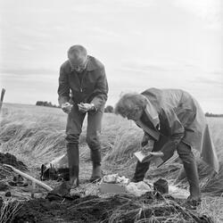 Utgravninger på garden Hov i Løten, Hedmark i 1966. Fotograf
