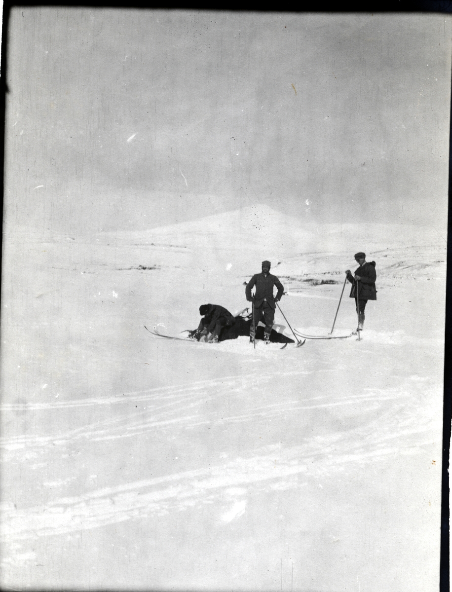 Tekst fra album: Paasken 1905 Sikkilsdalen. - Bogstad Gård / DigitaltMuseum