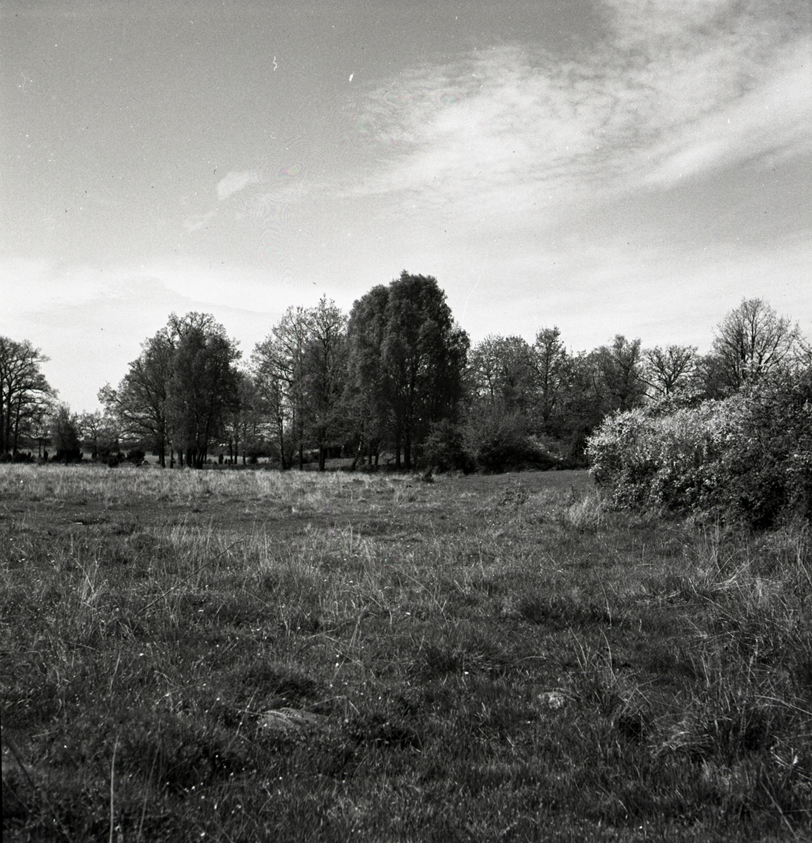 Landskapsbilder från Horsö.