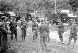 En gruppe soldater står i samtale foran en rekke med lastebi