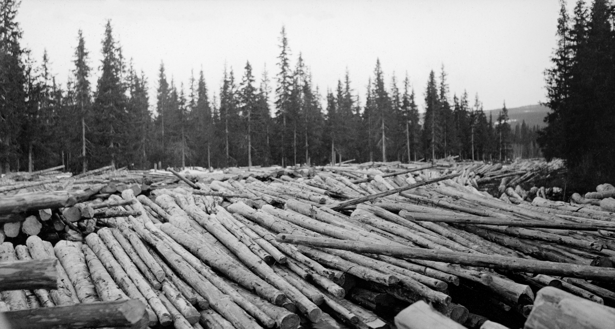 Tømmertillegg nedenfor Dambudammen i elva Slemma, Slemdalen, Åmot.