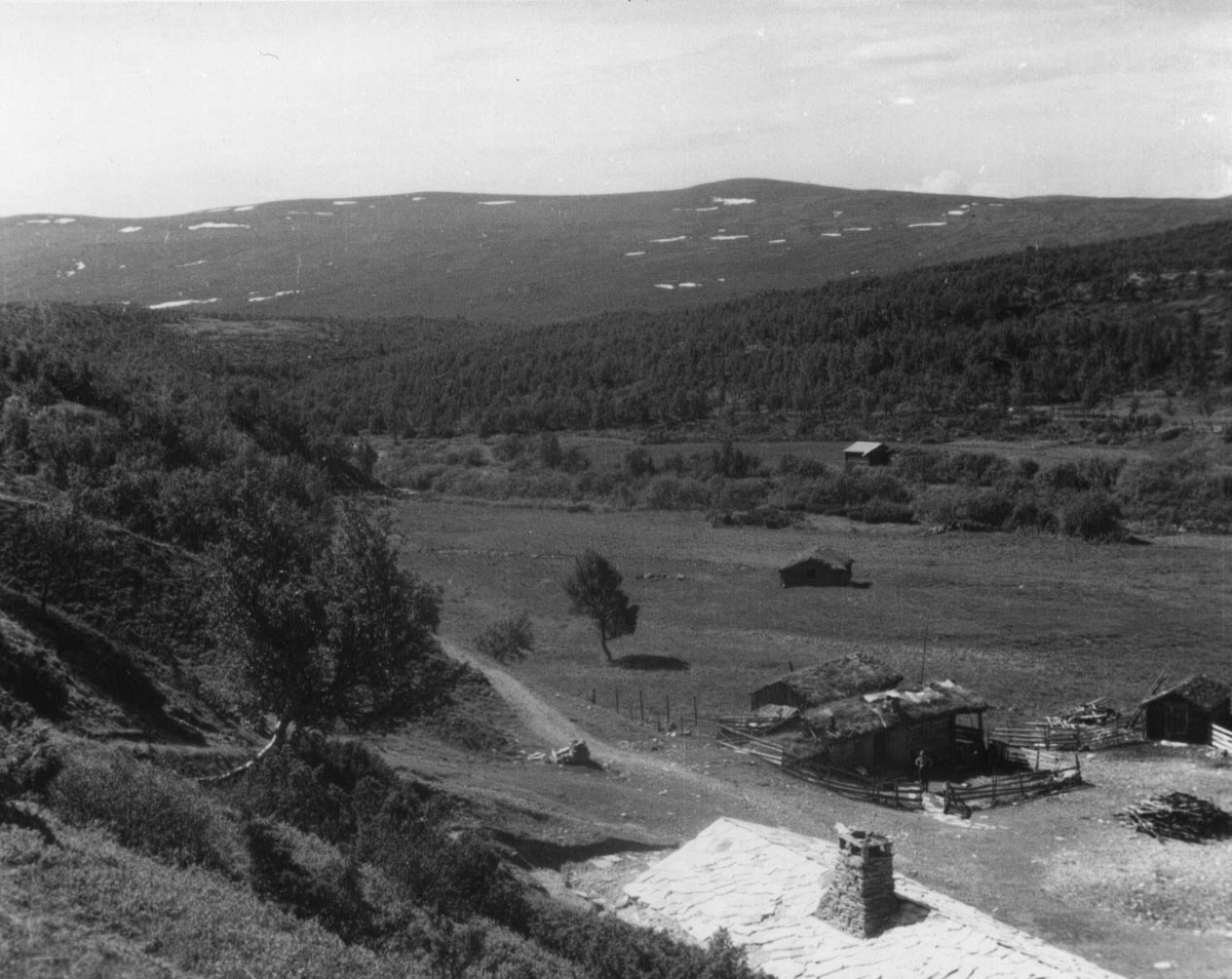 Rausjødalen