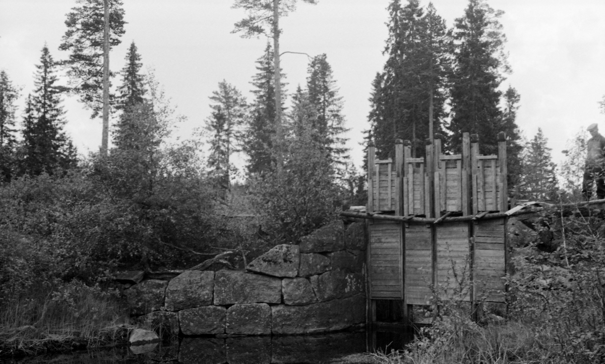 Hersjødammen, en lukedam i den sørlige delen av Stange kommune i Hedmark, fotografert fra nedsida (i motstrøms retning) en sommerdag i 1955. Det dreier seg om en dam der det ytre skallet er murt av naturstein. Den har ett løp der vannføringa kunne reguleres ved hjelp av fire hev- og senkbare treluker. Da dette fotografiet ble tatt sto lukene opptrukket såpass at vannspeilet i den bakenforliggende dammen må ha vært forholdsvis lavt.

Hersjødammen befinner seg, som navnet indikerer, ved utløpet av Hersjøen, som ligger i søndre del av Stange allmenning, cirka 3 kilometer øst for Gammelsaga. Mesteparten av vanntilsiget kommer nordsvestfra, fra Bergsjøen via Bergsjøåa. Derfra renner vannet videre sørøstover, først under navnet Hersjøåa, etter sammenløpet med Lalumsåa blir vassdraget kalt Knukåa, som etter hvert renner ut i Gjeddevatnet. Fra utløpet av denne innsjøen kalles vassdraget Trautåa, et navn det beholder inntil det renner ut i innsjøen Råsen i Nord-Odal. Vassdraget skal ha vært fløtbart fra Bergsjøen og nedover. I 1955, da dette fotografiet ble tatt, var det innmeldt 87 256 tømmerstokker til fløting i Trautåa, men det var antakelig bare en liten del av dette kvantumet som ble utislått så høyt oppe i vassdraget som der dette fotografiet er tatt. Tradisjonelt var Hersjøen det andre merkestedet telt ovenfra i dette vassdraget.