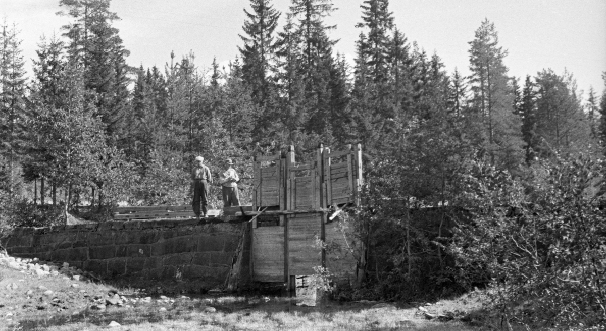 Spetalsdammen, en lukedam i sørenden av Spetalsjøen (358 meter over havet) i Stange allmenning i Hedmark, fotografert fra vannsida (i medstrøms retning) en sommerdag i 1955, da dammen stod fullstendig åpen. Det dreier seg om en dam der det ytre skallet er murt av naturstein. Den har ett løp der vannføringa kunne reguleres ved hjelp av tre hev- og senkbare treluker. Da dette fotografiet ble tatt sto lukene opptrukket slik at det knapt var vann i dammen. To karer sto på det ene damkaret, dervdet også lå et par luker.
