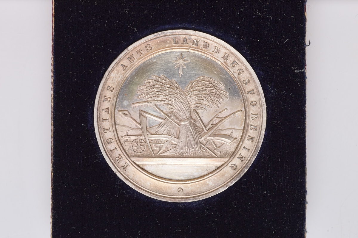 En pris fra utstilling i 1890. Medaljen ligger i et rødbrunt etui.