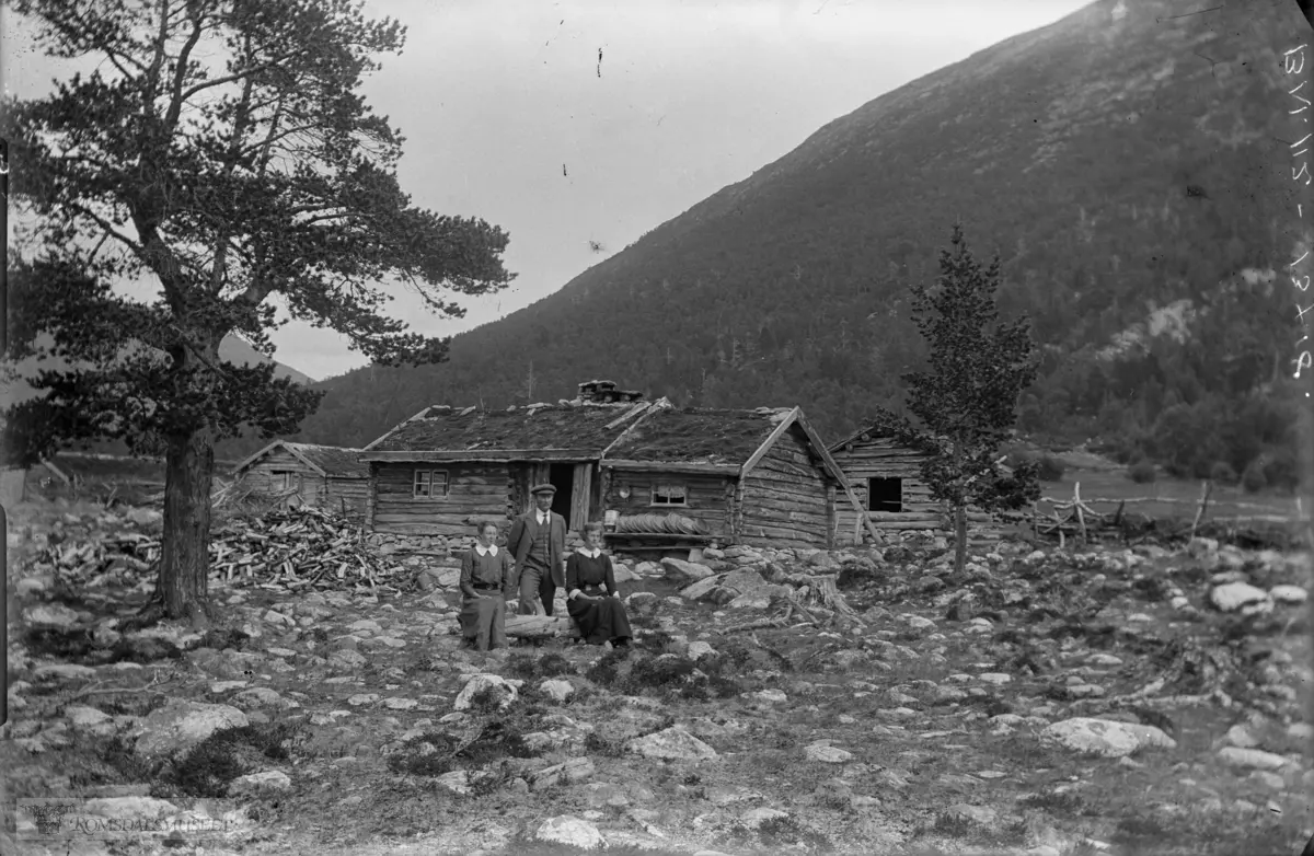 13. Ole Hole sitt seterhus (Øvre Hole) i Brøstdalen. 26.07.1914.