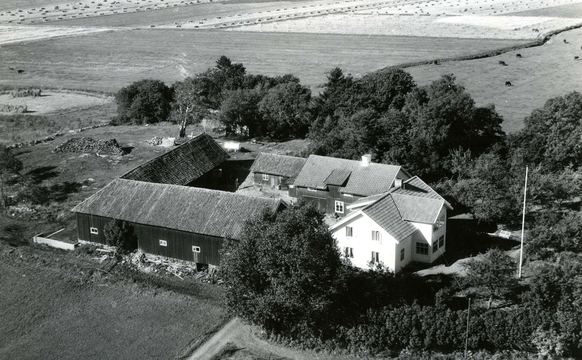 Flygfoto över Ekans gård, Ekan 1:1, i Kållered cirka 1940-1950. Ikea byggdes senare på platsen. Relaterat motiv: A1445.