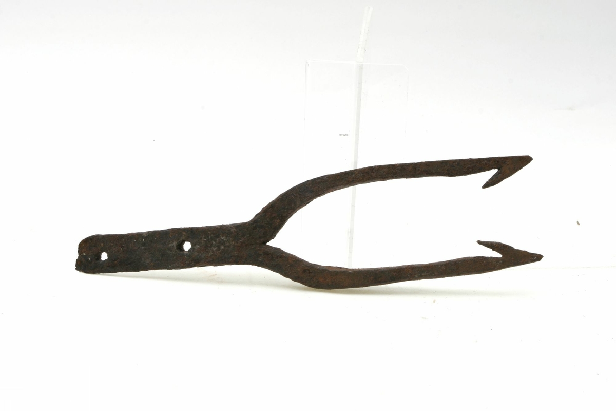 Lyster, en gaffelformet fiskeredskap med tinder utstyrt med mothaker til å spidde og slik fange fisk med
 