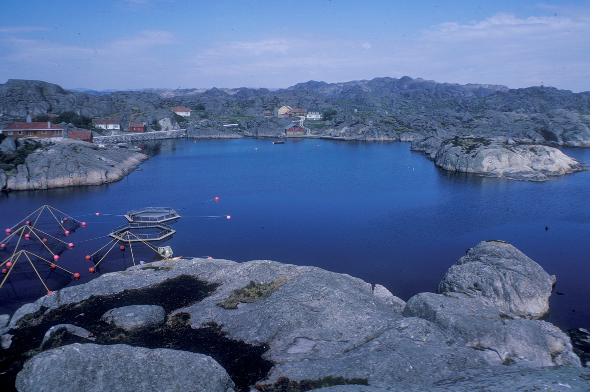 Motiv fra Skretting AS sitt forsøksanlegg på Holmane ved Sirevåg på Jæren. Merdene ligger i en skjermet buk bak holmer og skjær.