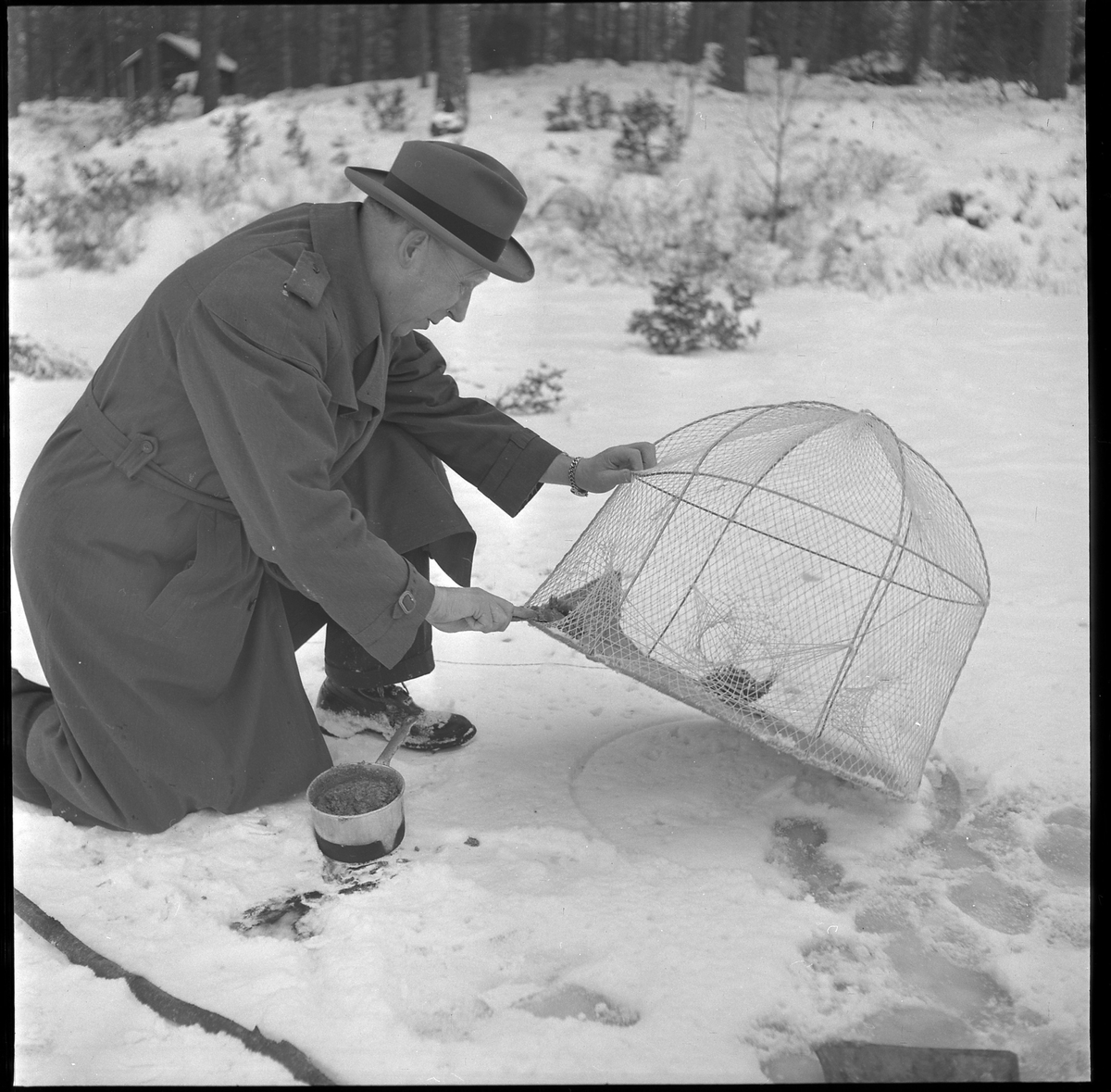 Fångstredskap, fiske. Okänd man. Jan 1951