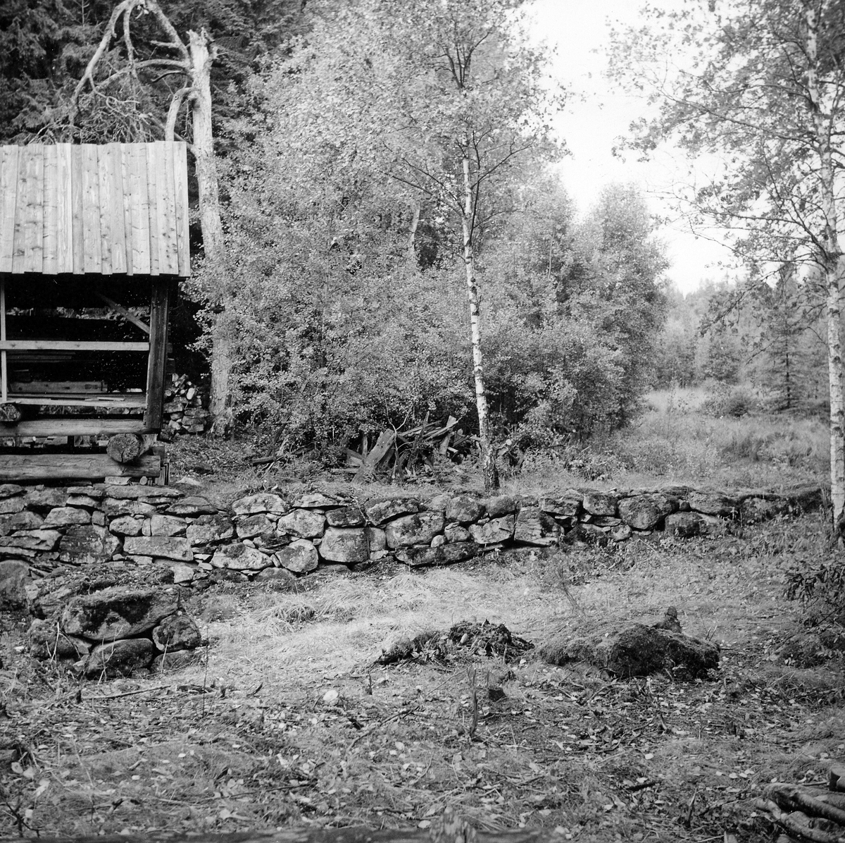 Södra Unnaryds sn. Brunnsbacka Kvarn och såg efter restaurering och markvård, 1976.