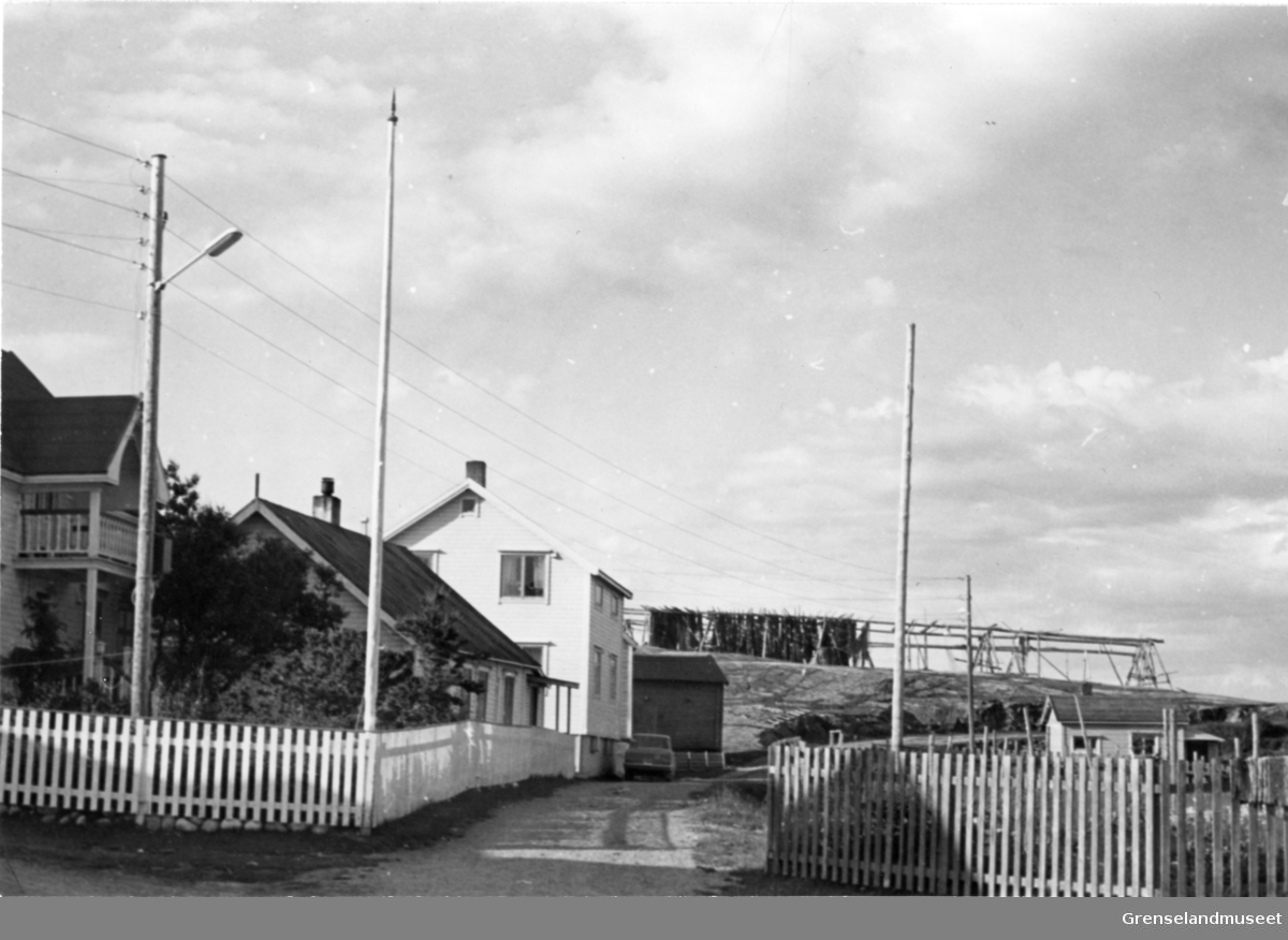Bugøynes 18.07.1970.
Bergs, Salmis, og Nilsens hus på nesset, sett fra sør. Veien forbi husene kalles "KUJA"