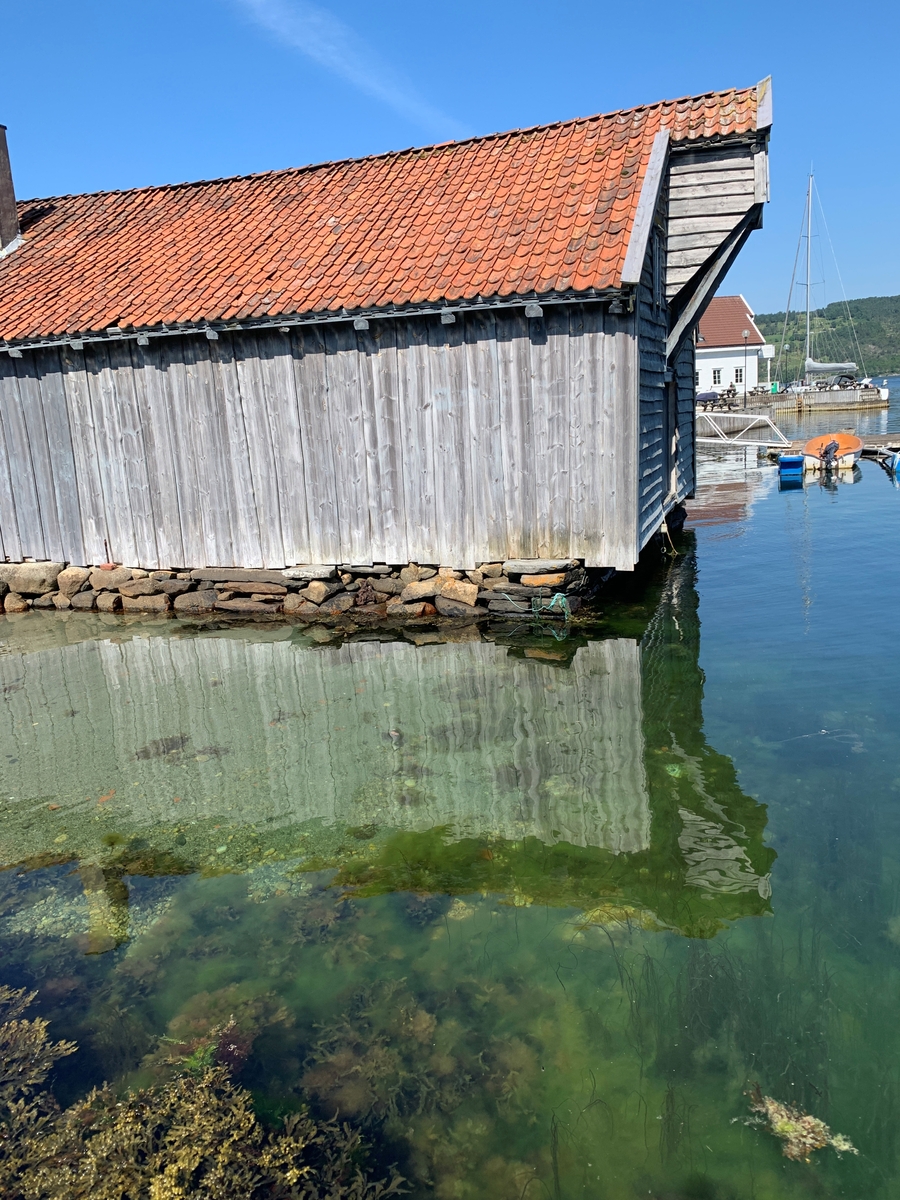 Hus, fjord