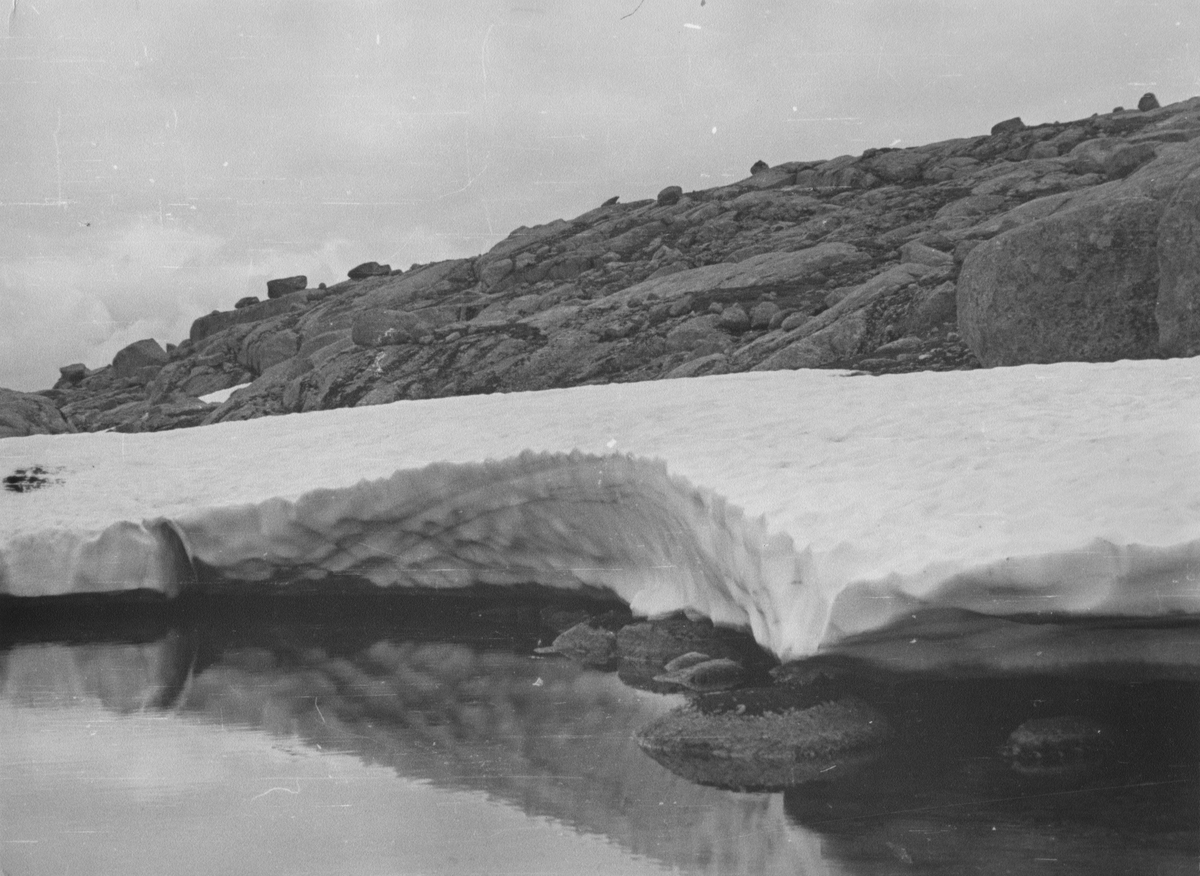 På fjellet ved Fidjeland, 1945.