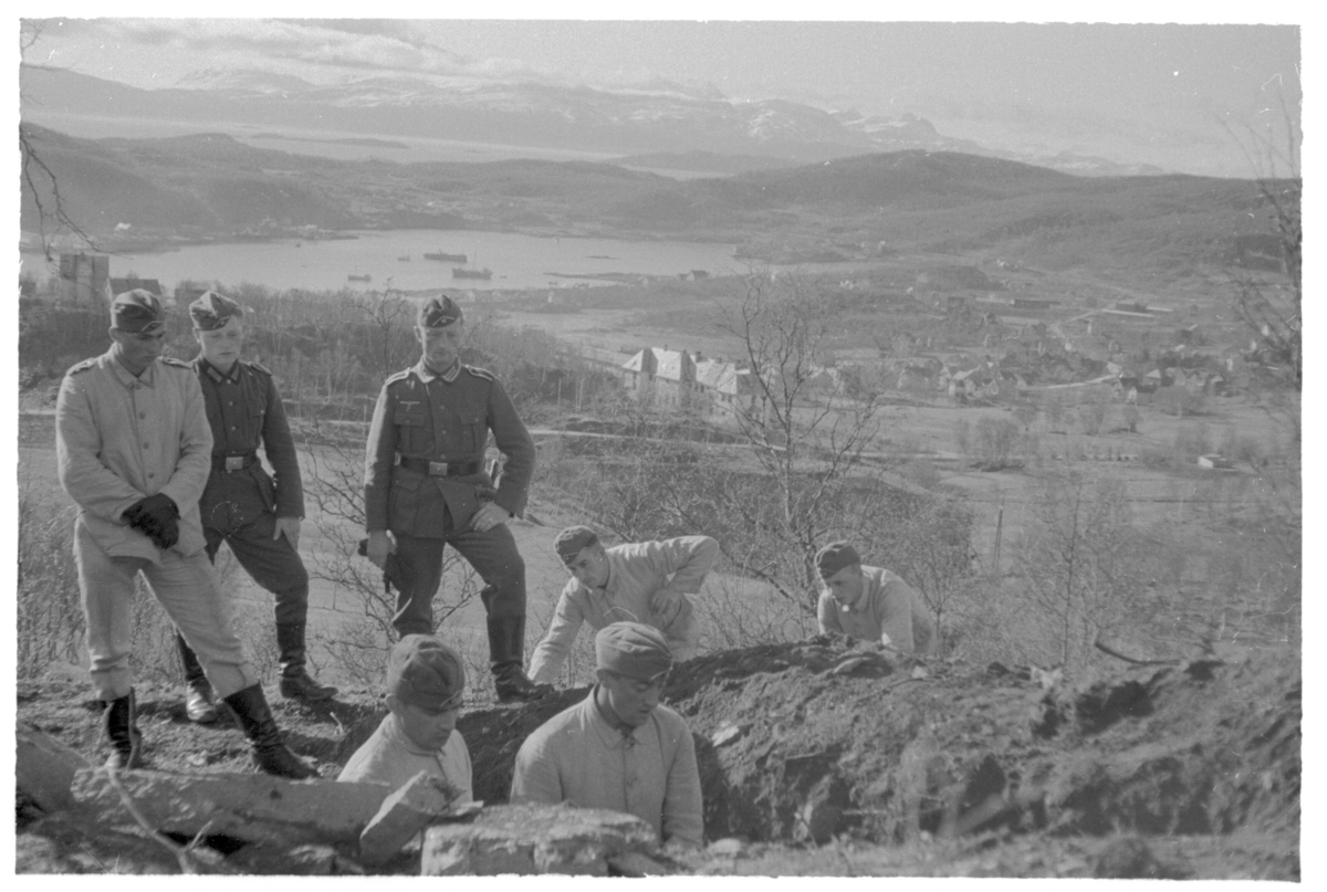 Tyske soldater graver stillinger i sørhellingen på Harstadåsen. Gullhaugen sanatorium midt i bildet, Seljestad og Harstadbotn i bakgrunnen.