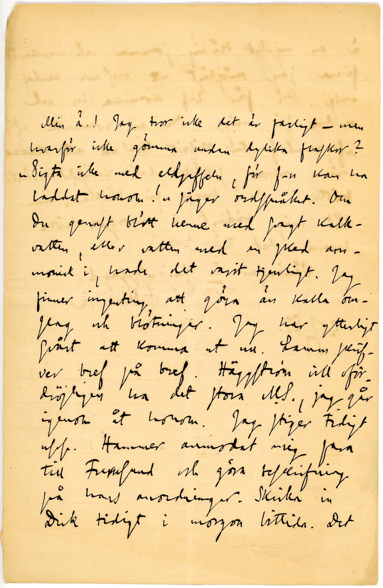 Brev skrivet 1883-07-25 av Richard Berdström till Ninni (Ellen) Hammarstedt. Brevet består av två sidor text på ett pappersark. Brevet ligger i ett adresserat kuvert. Handskrivet med svart bläck.