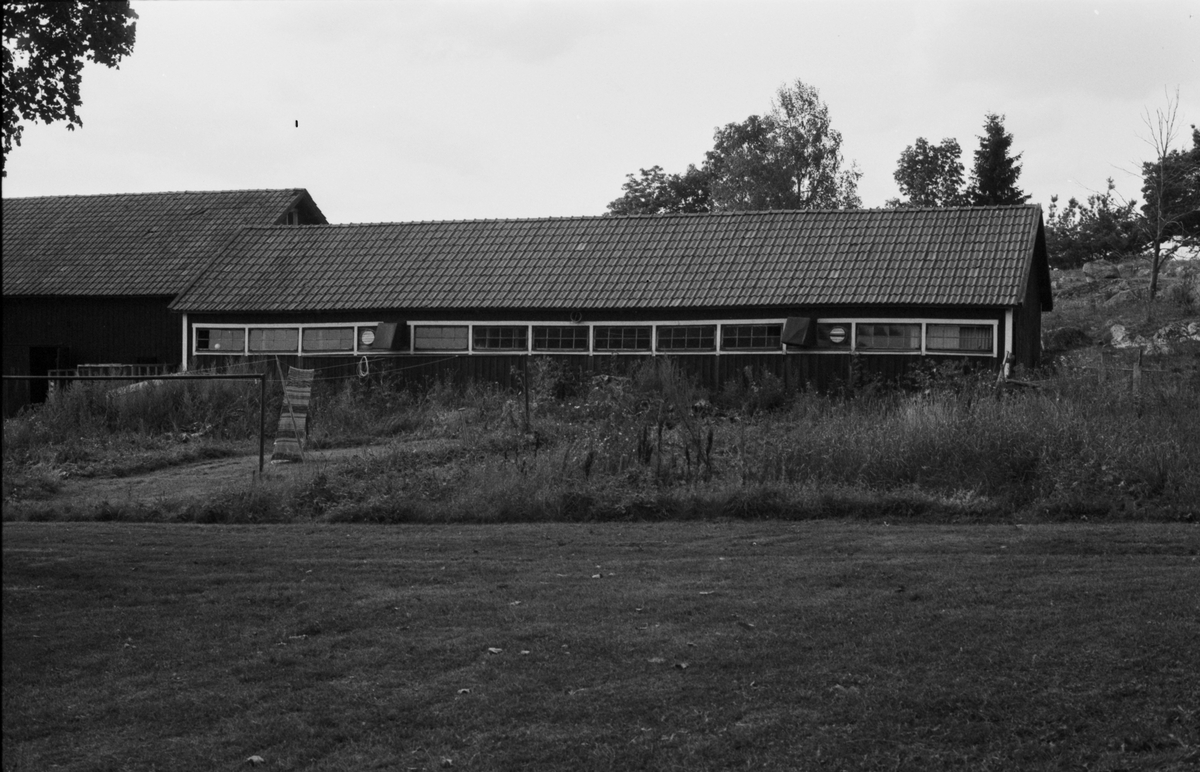 Hönshus, Kroksta 2:10 och 3:8, Åkerby socken, Uppland 1983