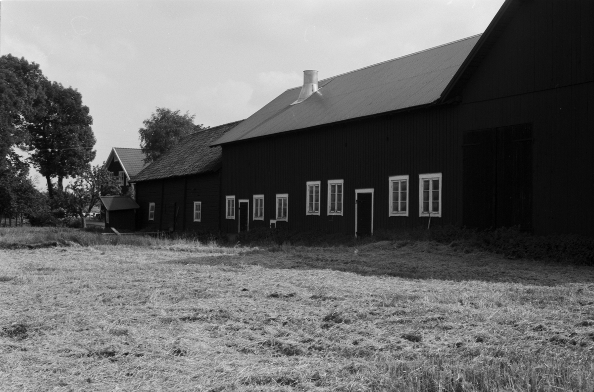 Ladugård, stall, svinhus och lada, Långtibble 10:1 (A), Sörgården, Vänge socken, Uppland 1984