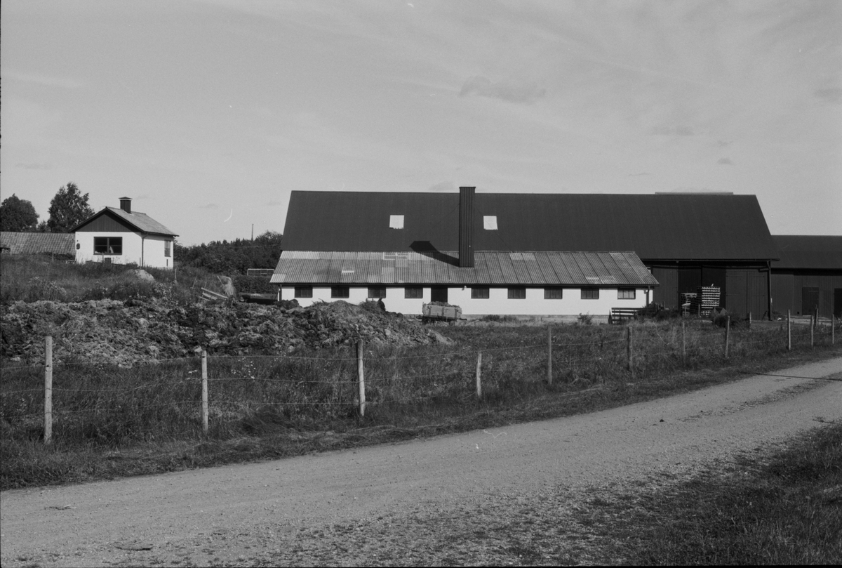Hönshus, ladugård och lada, Kil 1:1, Lilla Kil, Vänge socken, Uppland 1984