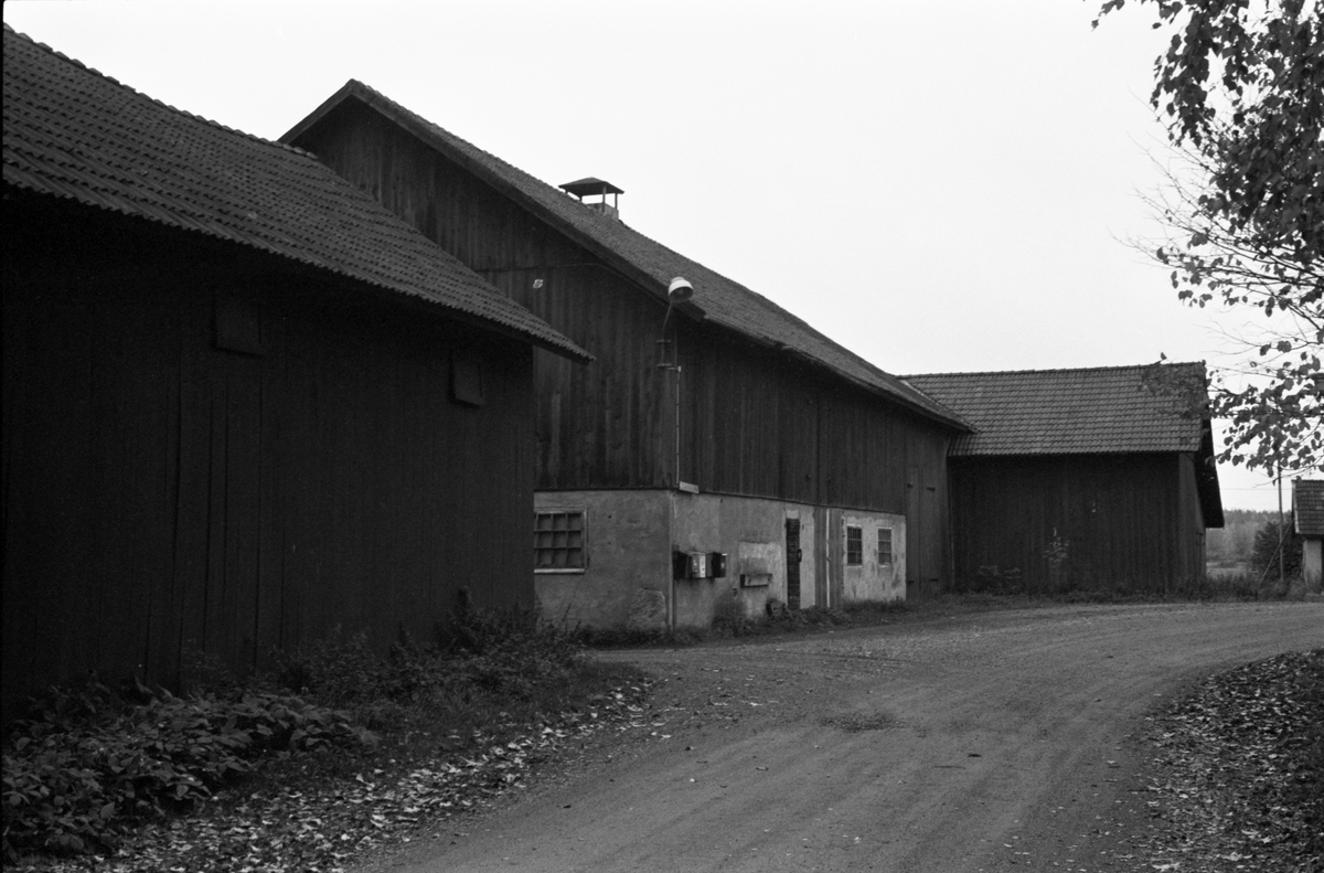 Ladugård, lada och garage, Ålands-Västerby 1:6 (B), Åland socken, Uppland 1984