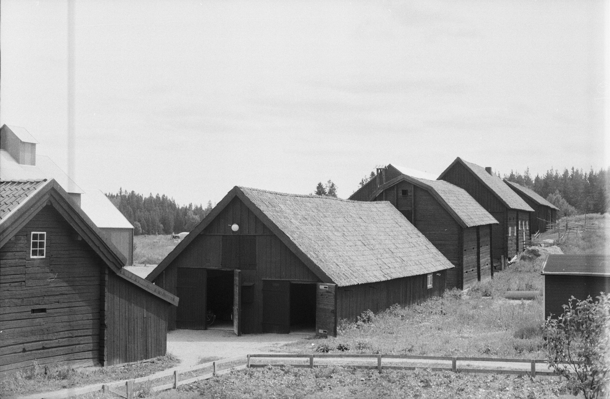 Vy över ekonomibyggnader, Brunna 1:1, Brunna gård, Vänge socken, Uppland 1975
