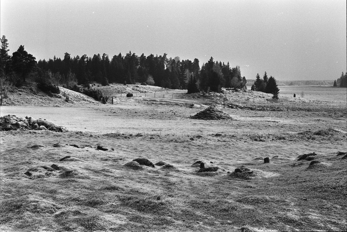 Vy över Näs-Edeby 1:1, Uppsala-Näs socken, Uppland 1984